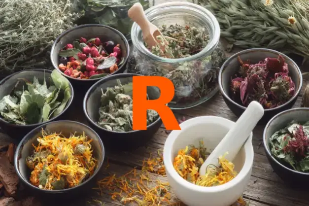Herbs starting with the letter R
