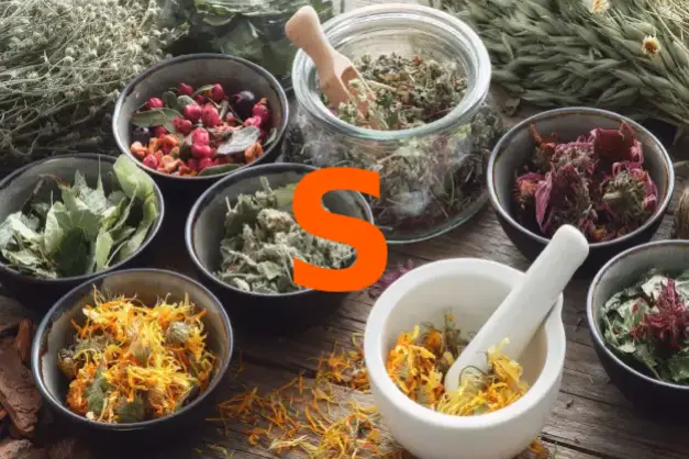 Herbs starting with the letter S